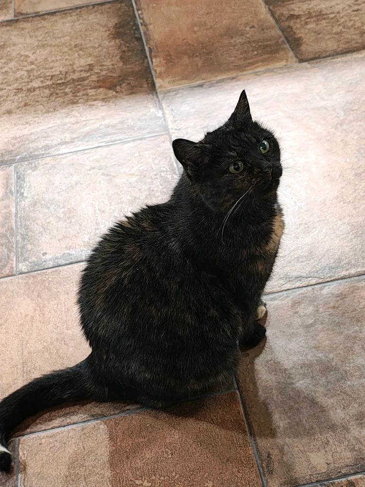 GIF uploaded by Eliška