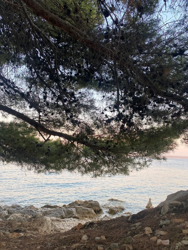 GIF diunggah dening Jurica