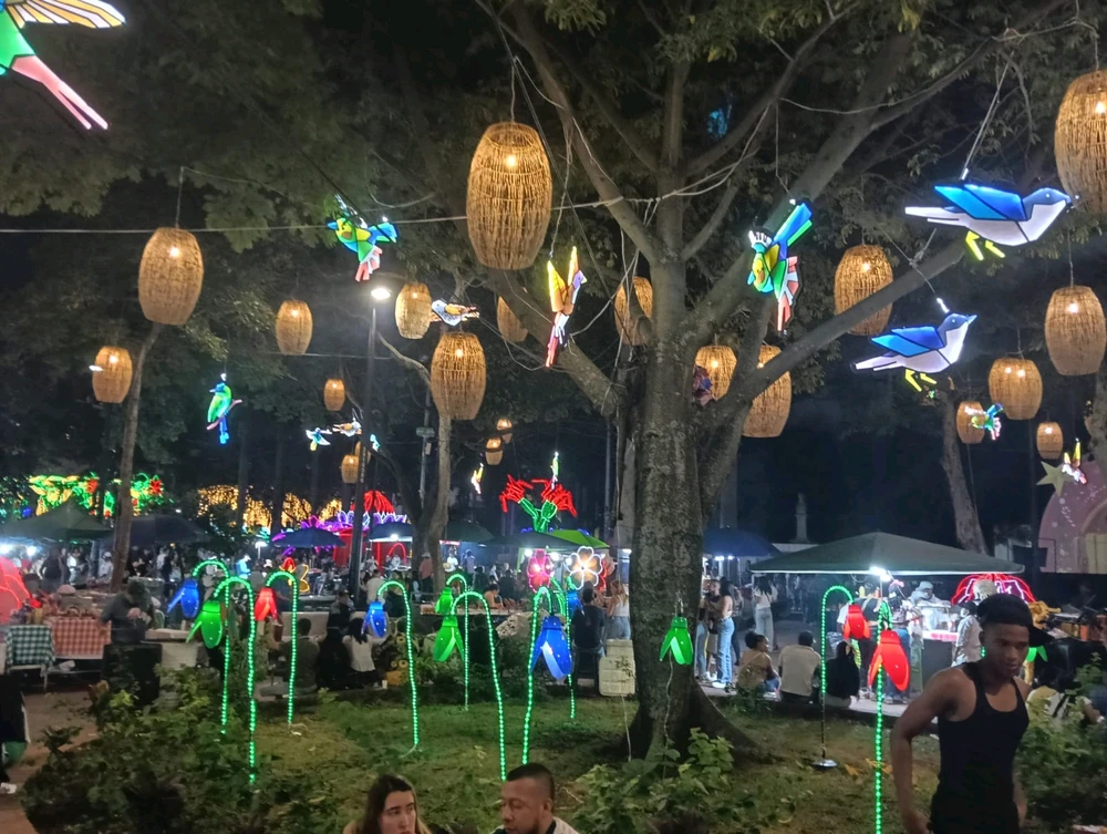 Lo de los colibríes y flores que nunca falte