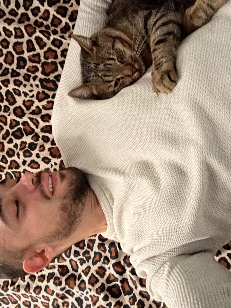 GIF încărcat de Dan