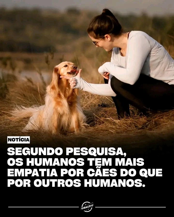 Bruno Tadeu Reis Matos байршуулсан GIF