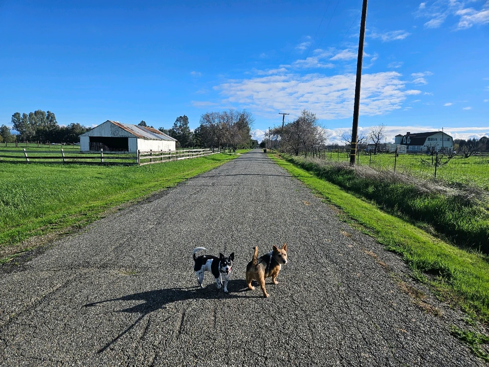 GIF diunggah dening Bettyjo