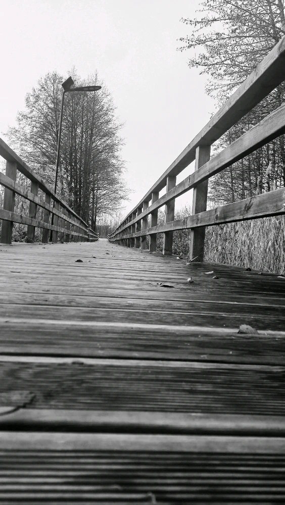 GIF dodany przez Mateusz