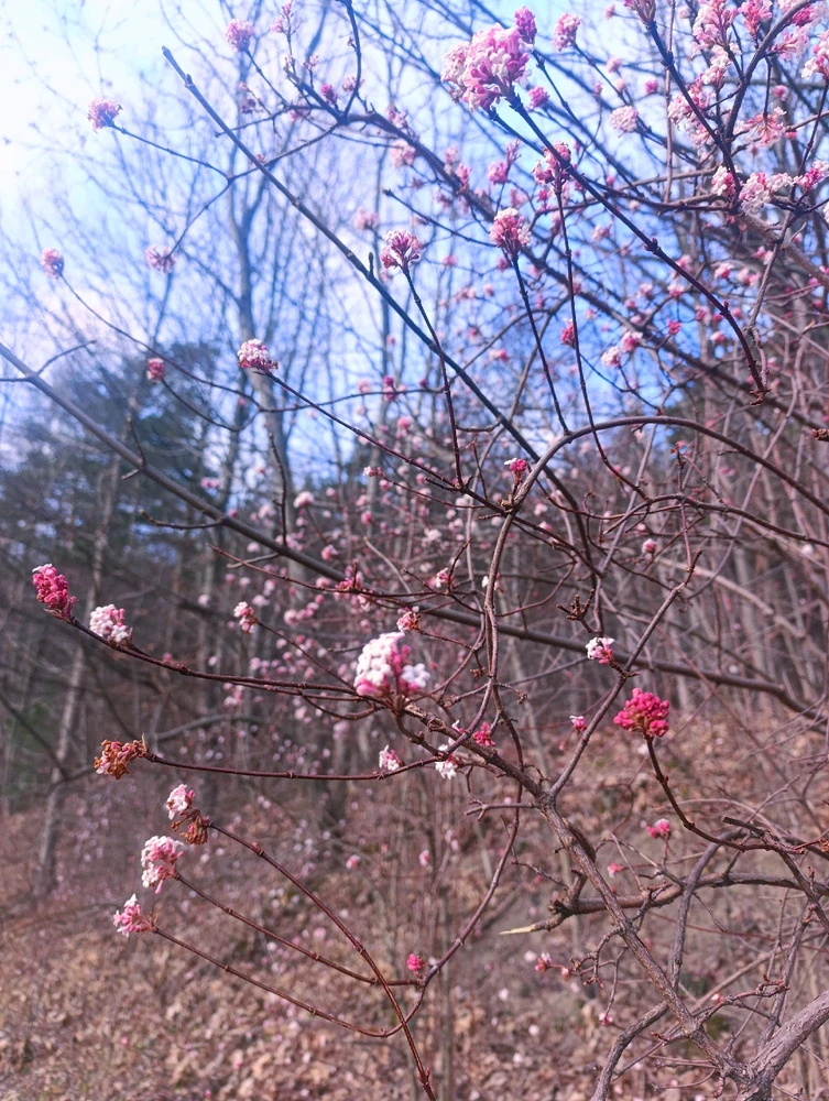 Гіфку завантажив Степан
