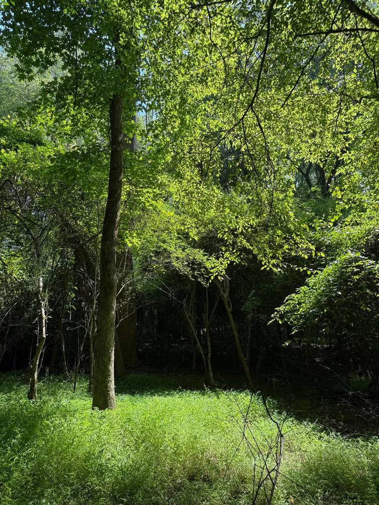 Image uploaded by Nathan