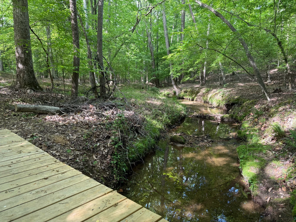 Image uploaded by Nathan