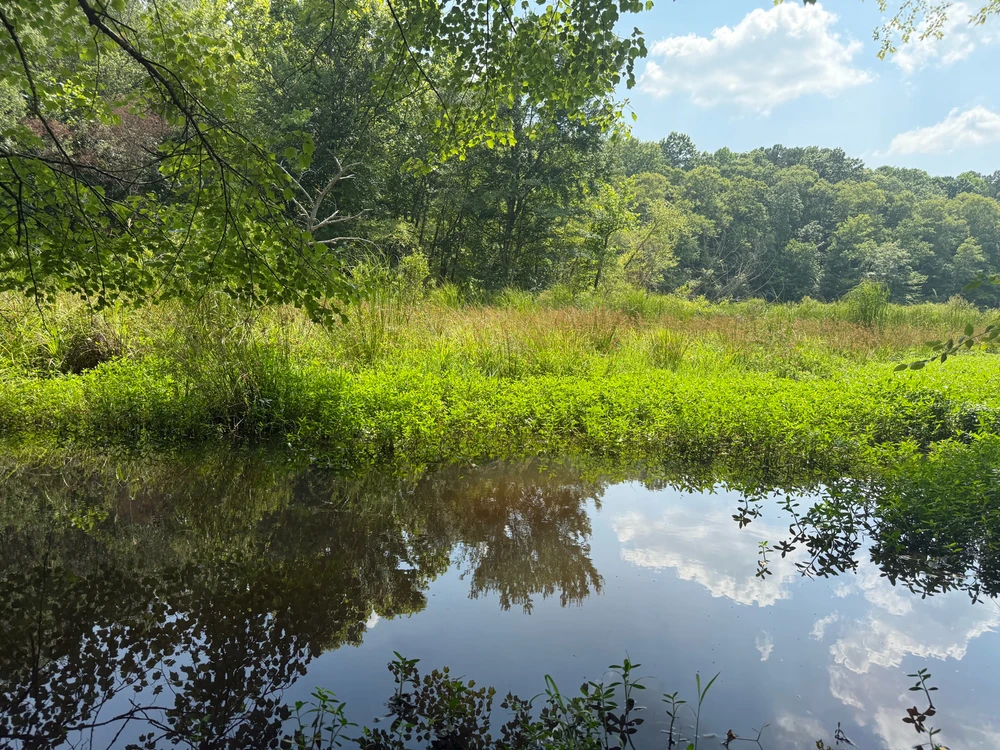 Image uploaded by Nathan