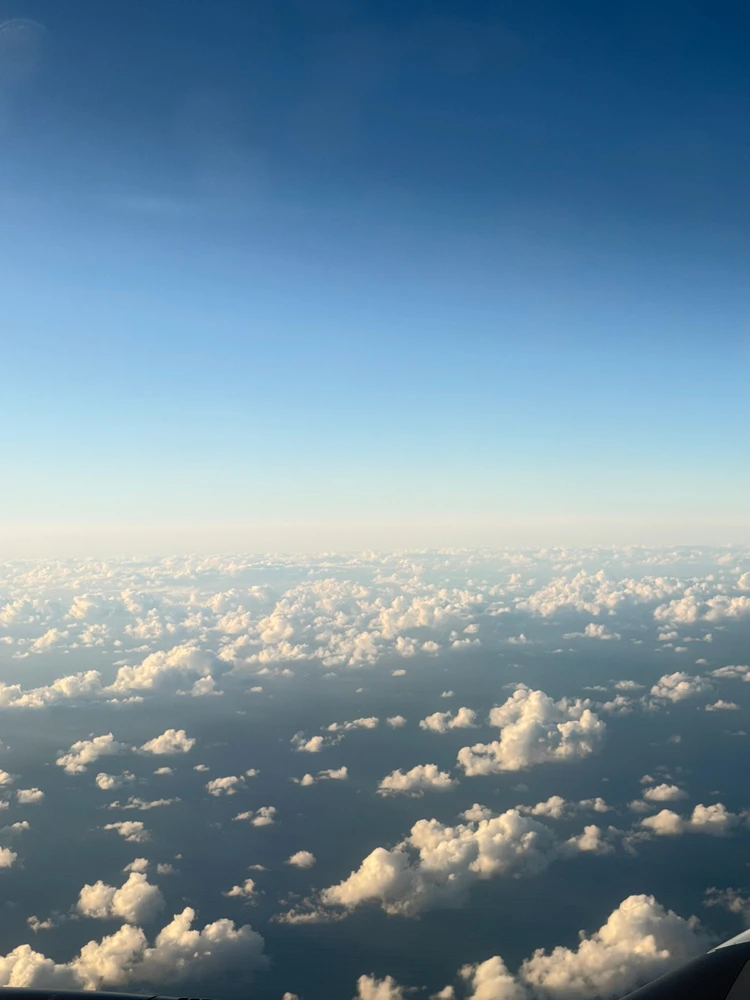 Image uploaded by Marco Neves