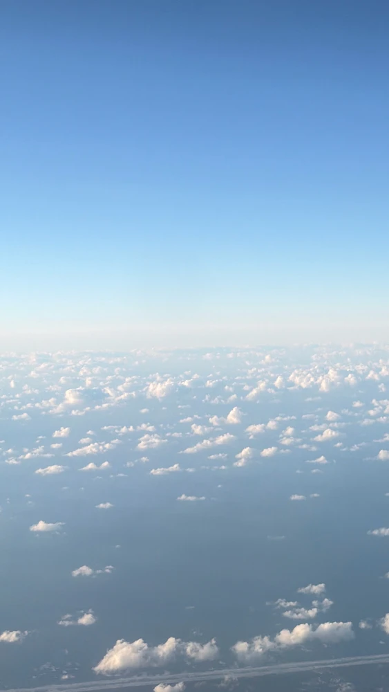 Image uploaded by Marco Neves