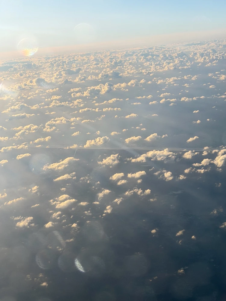 Image uploaded by Marco Neves