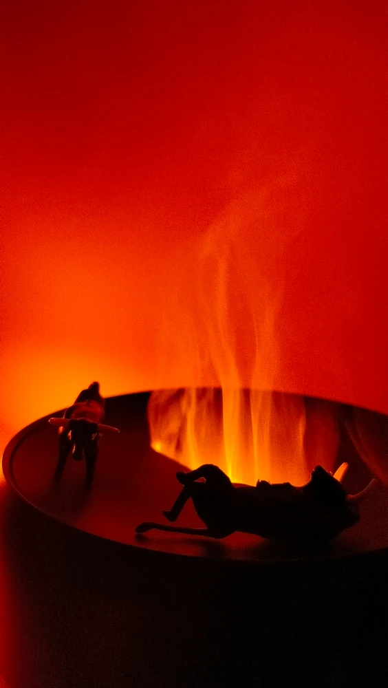 GIF caricata da Raffaella