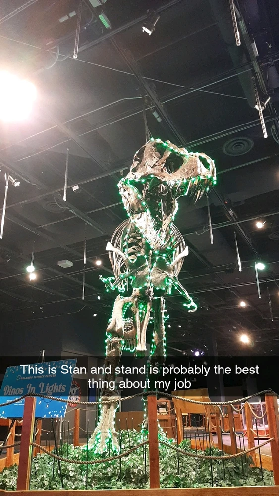 GIF diunggah dening Salem