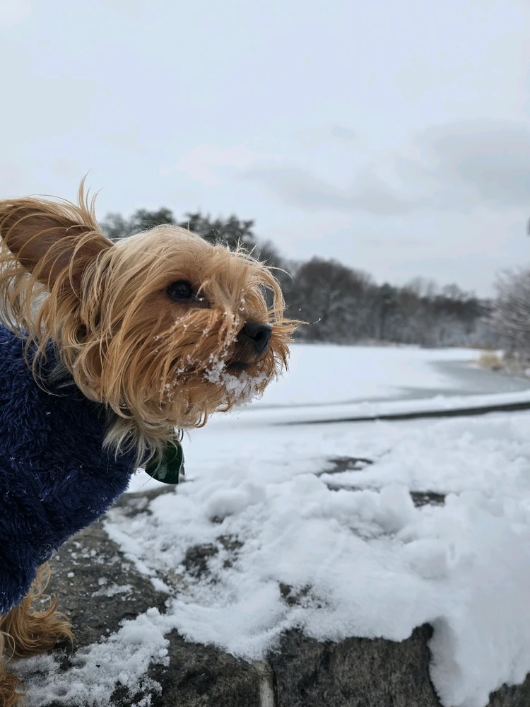 Image uploaded by 《🌹.::Lenöré::.🌹》