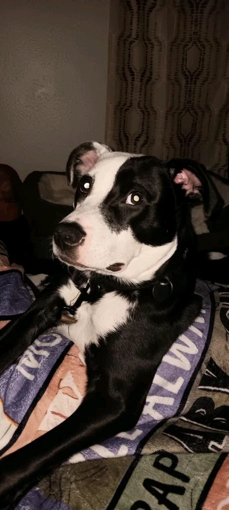 GIF uploaded by Courtney