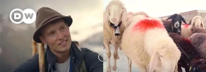 Bild hochgeladen von Neko