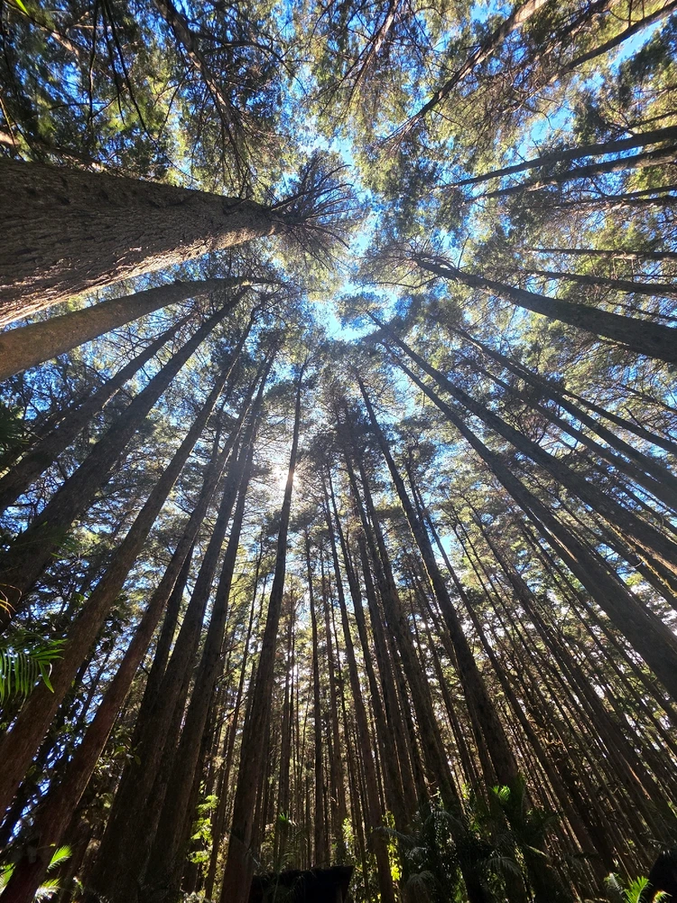 GIF subido por Karina