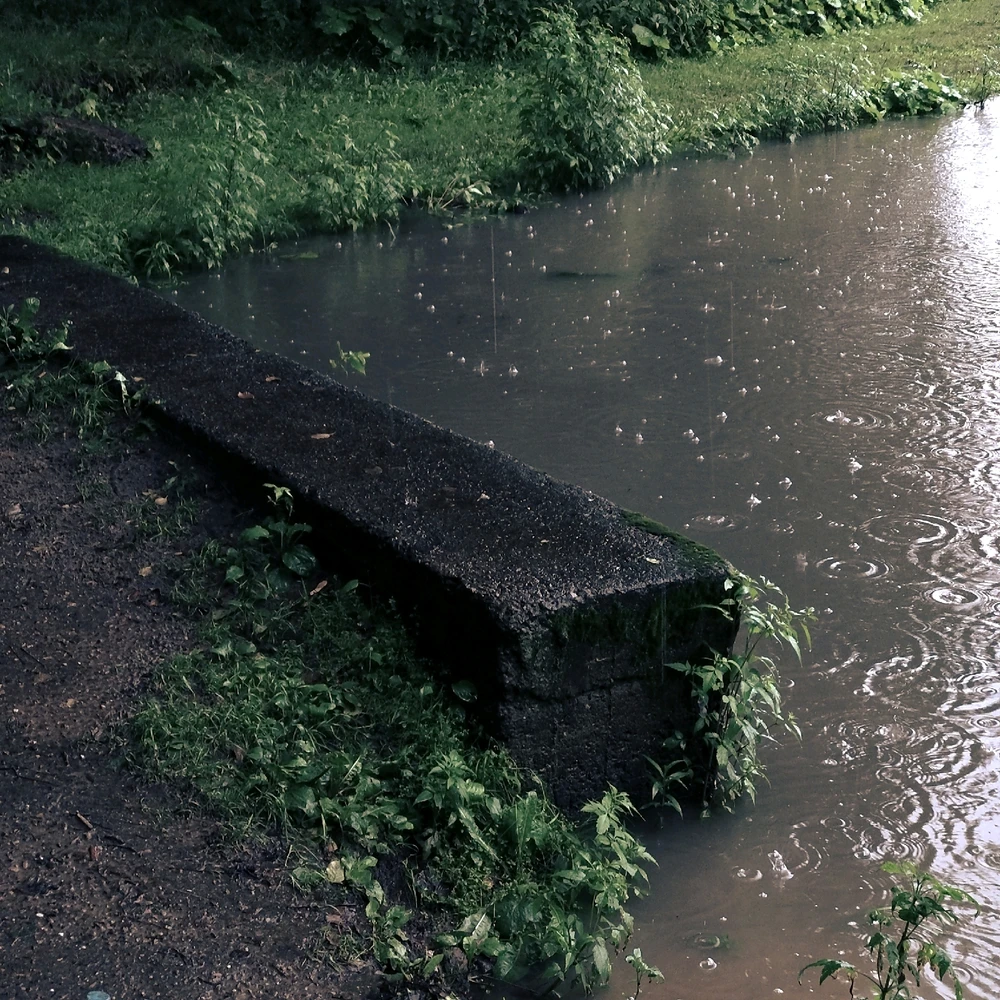 Gambar diunggah dening Gregory