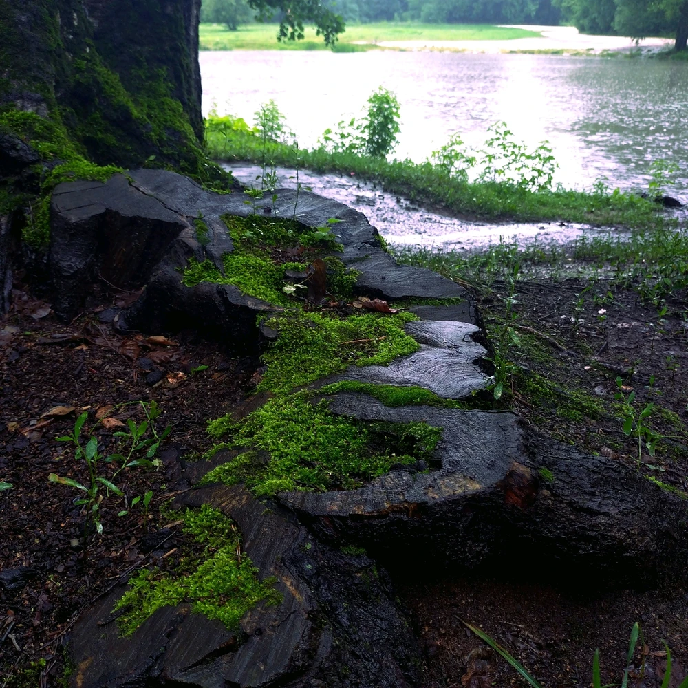 Gambar diunggah dening Gregory