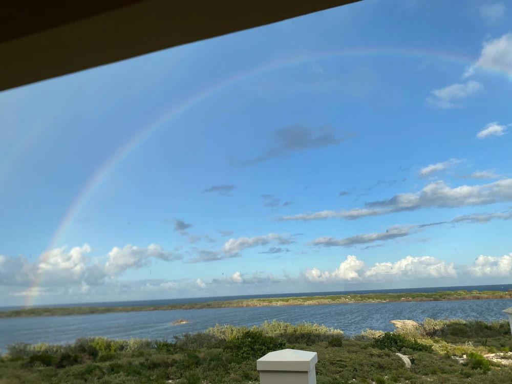 Image uploaded by Alluress