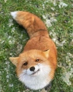 GIF diunggah dening Kushy