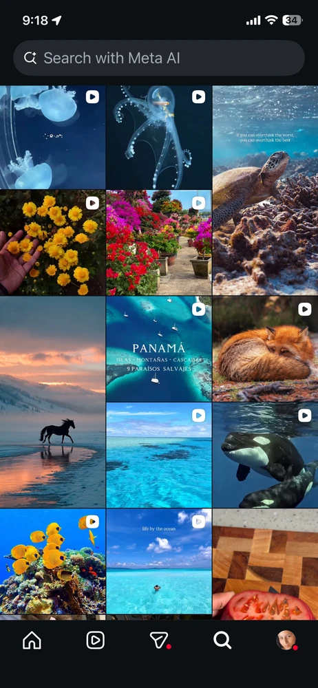 GIF diunggah dening Genesis