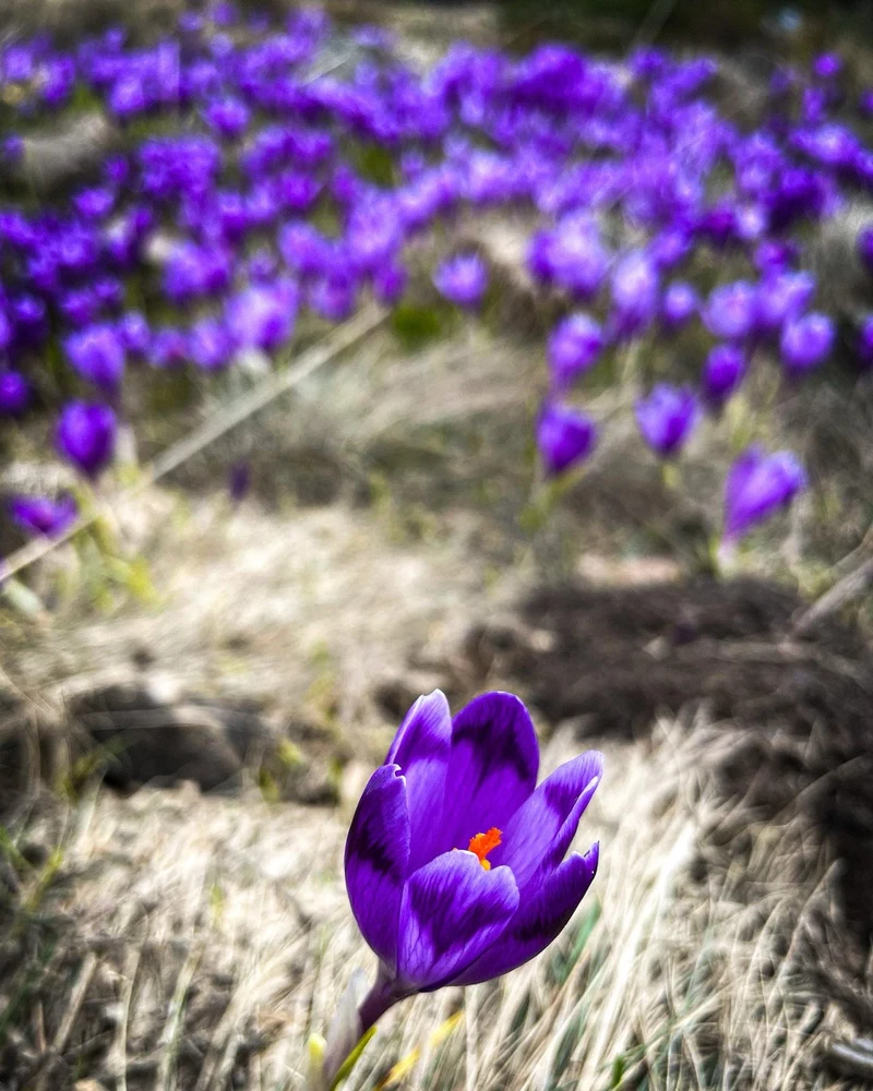 Gambar diunggah dening lena ⏾