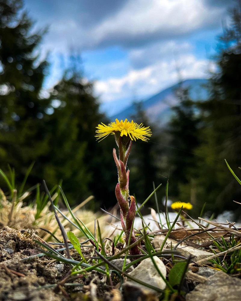 Gambar diunggah dening lena ⏾