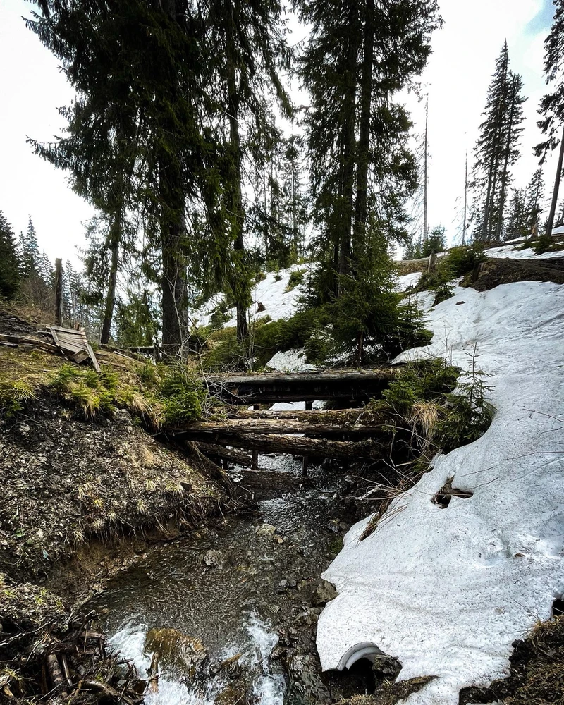 Gambar diunggah dening lena ⏾