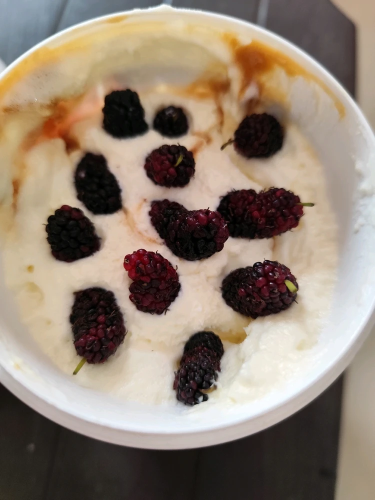 GIF uploaded by VJ Joseph