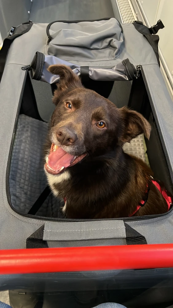 Bild hochgeladen von Ben