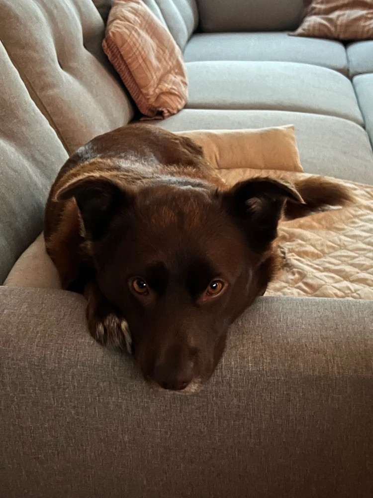 Bild hochgeladen von Ben