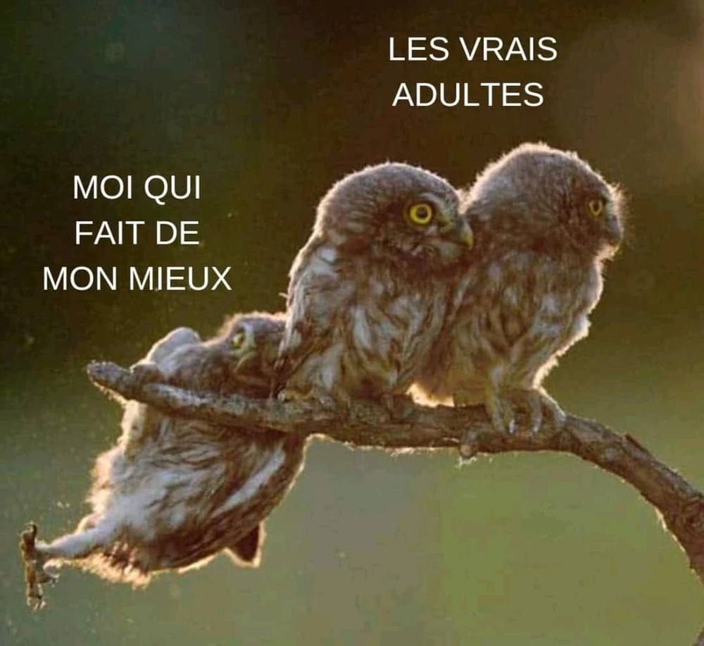 GIF ajouté par Mickaël