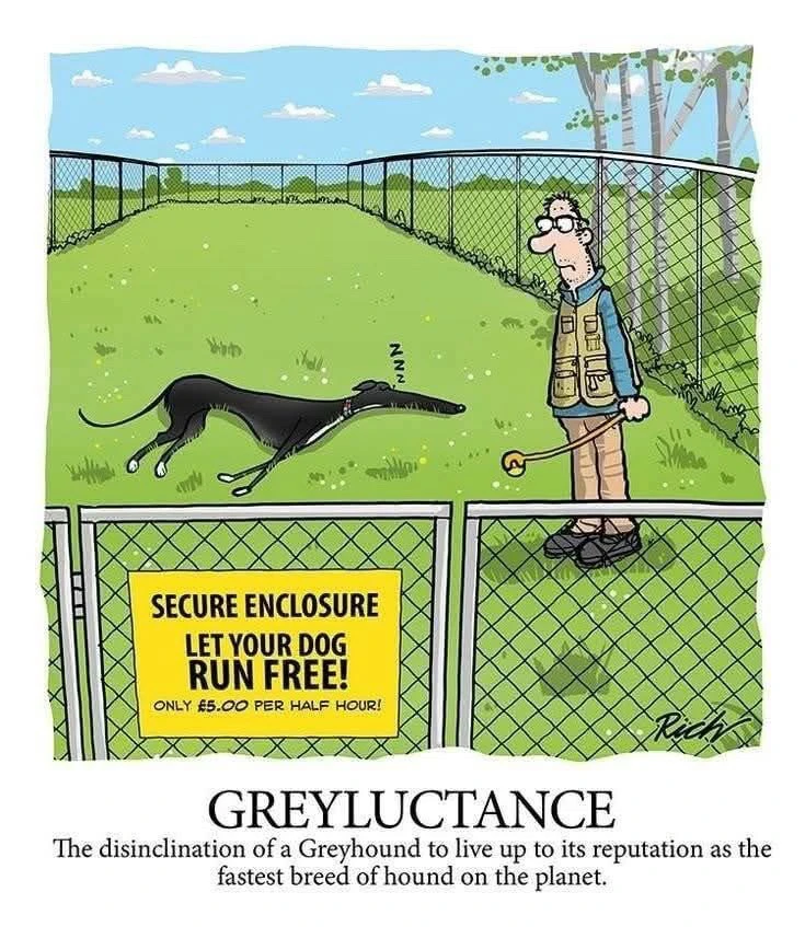 GIF uploaded by Denise