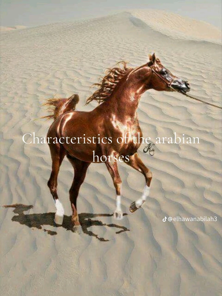 Image uploaded by Soo