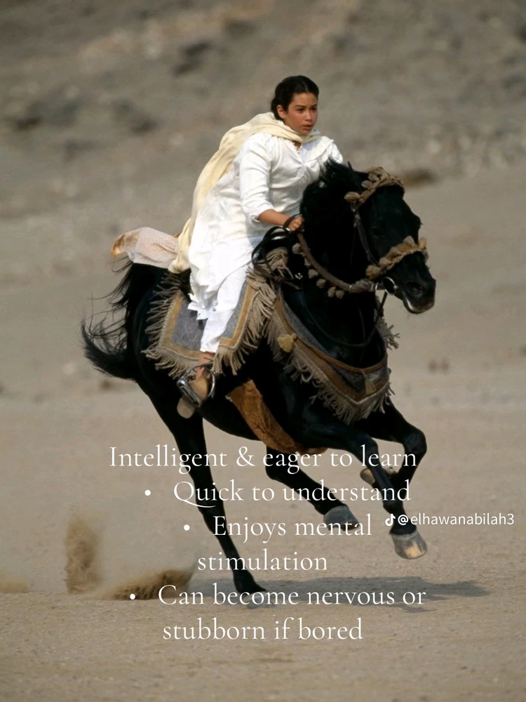 Image uploaded by Soo