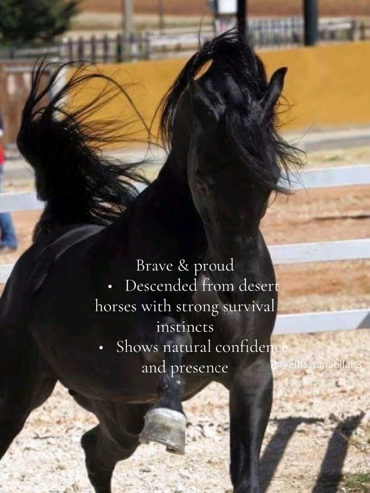 Image uploaded by Soo