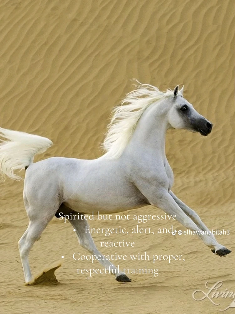 Image uploaded by Soo