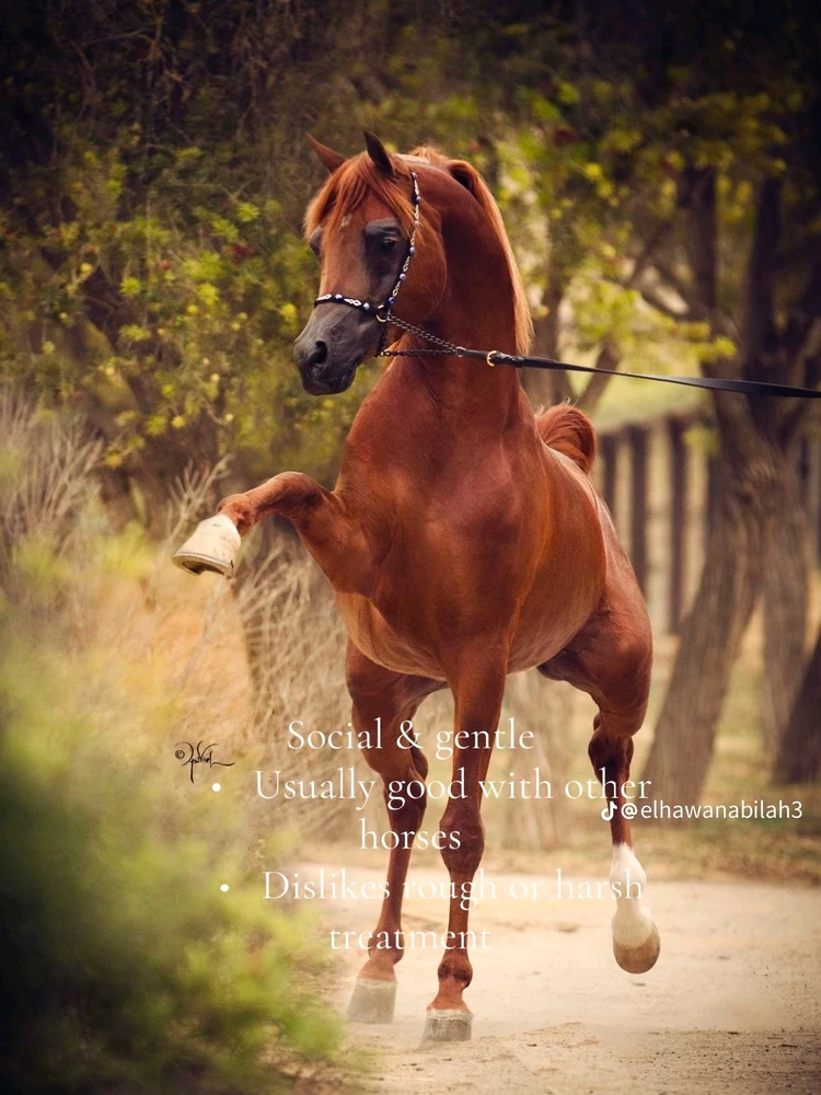 Image uploaded by Soo