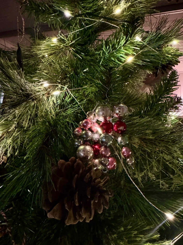 Obrázek nahrál Soni