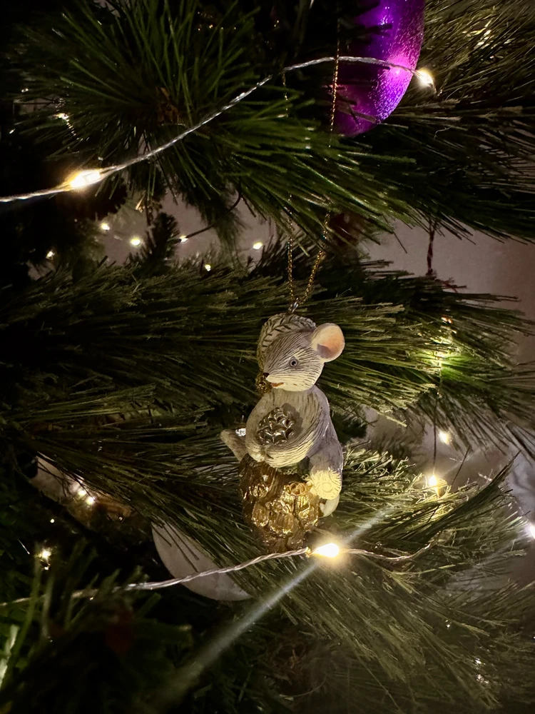 Obrázek nahrál Soni