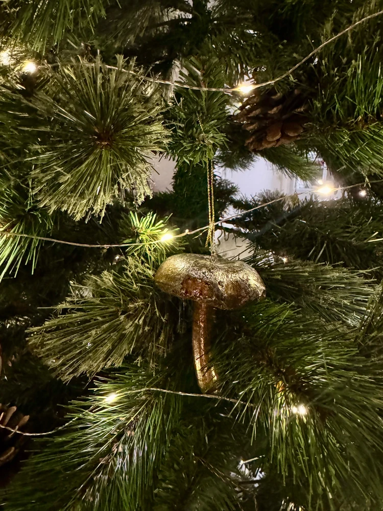 Obrázek nahrál Soni