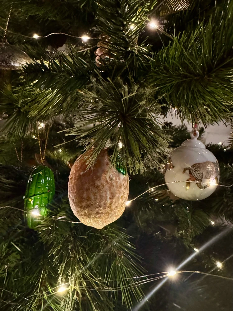 Obrázek nahrál Soni