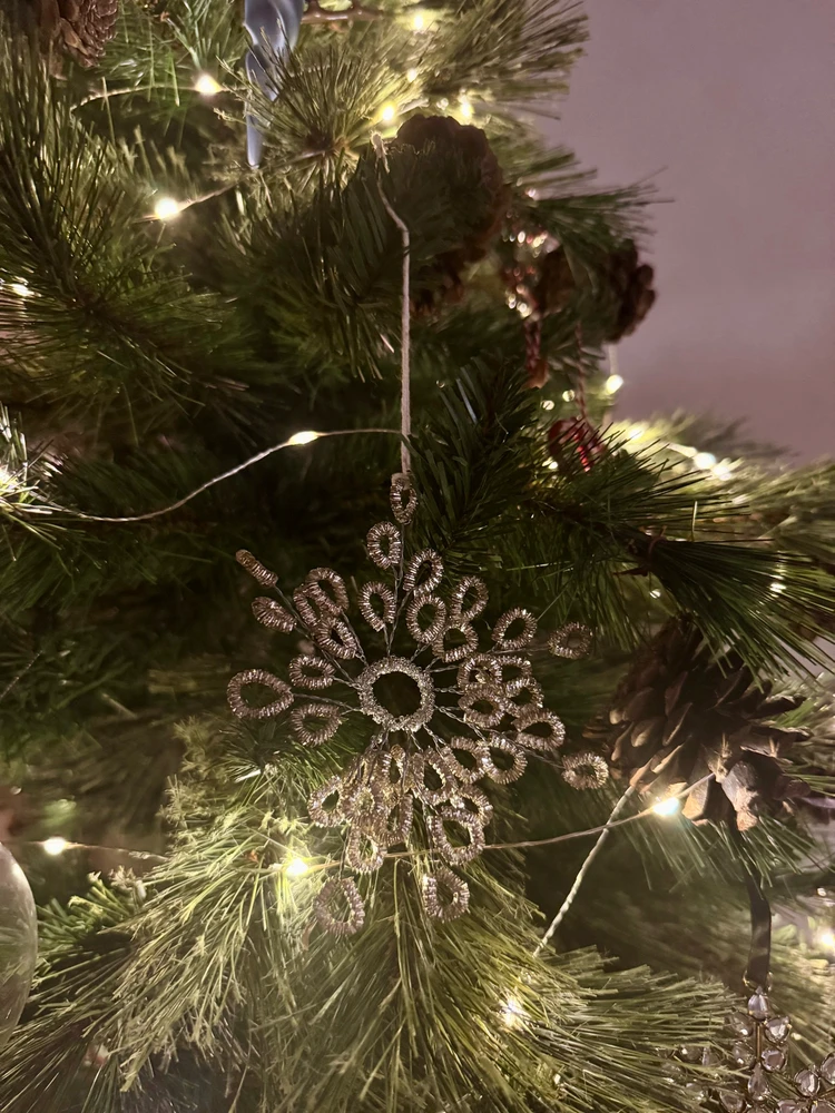 Obrázek nahrál Soni