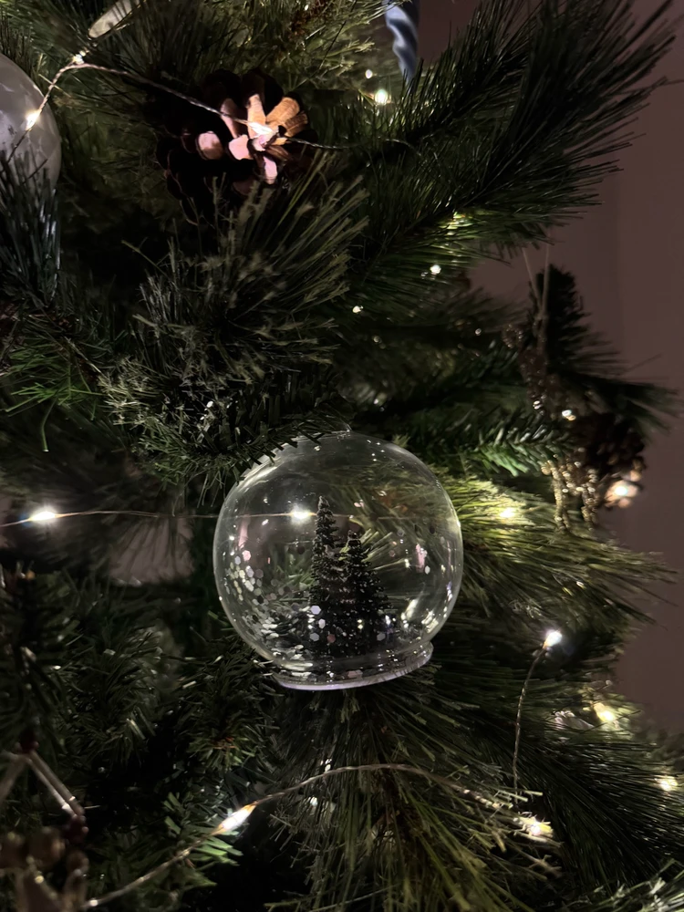 Obrázek nahrál Soni