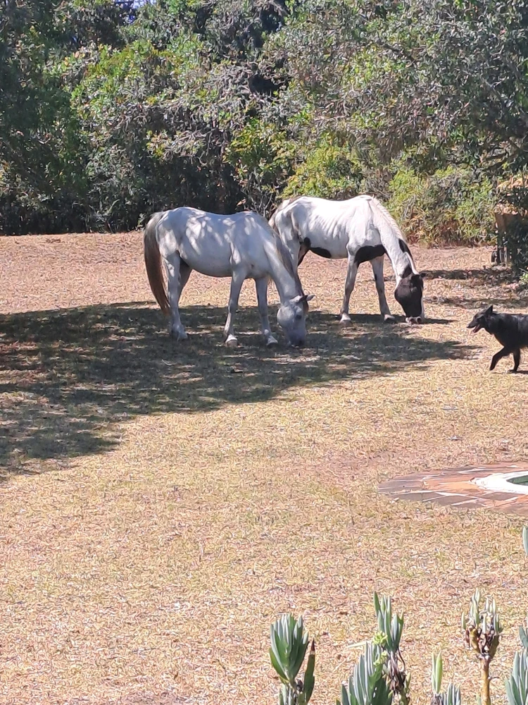 GIF uploaded by Sandz