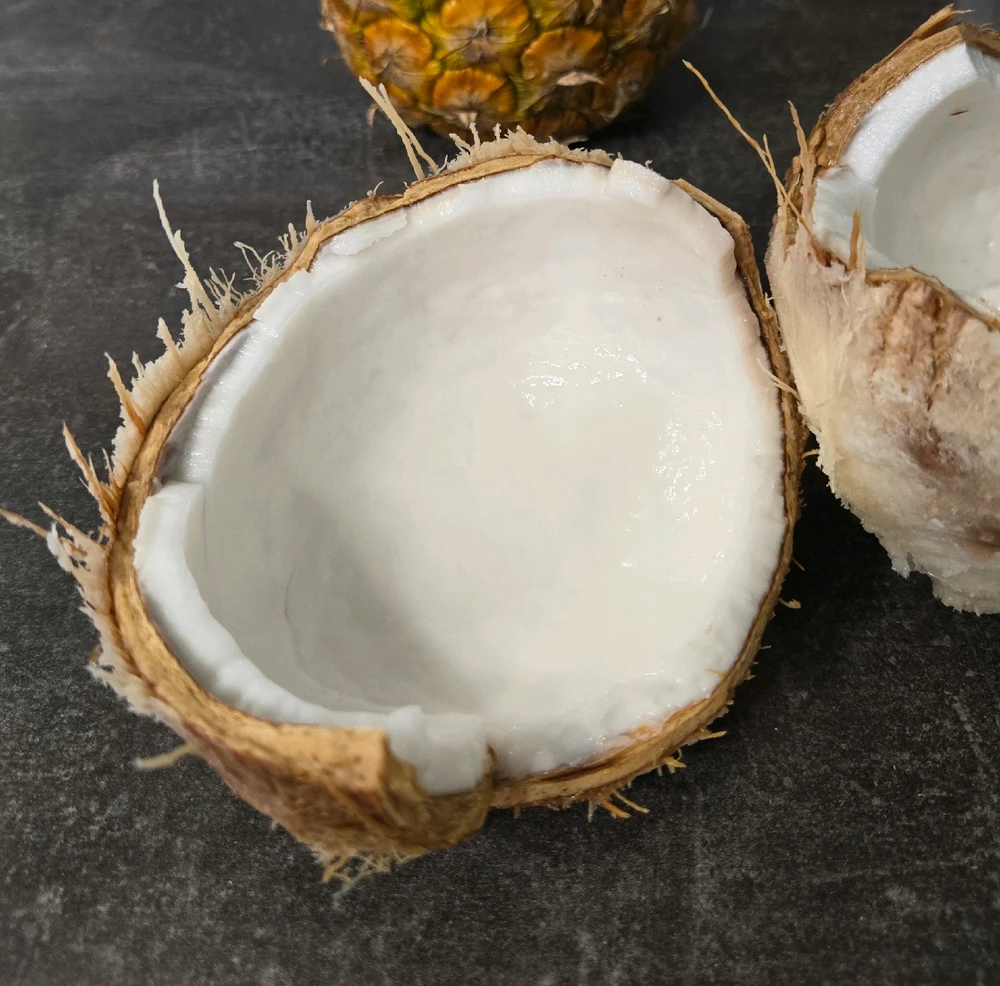 Image uploaded by Marissa