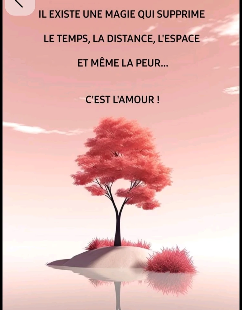 GIF ajouté par Sara