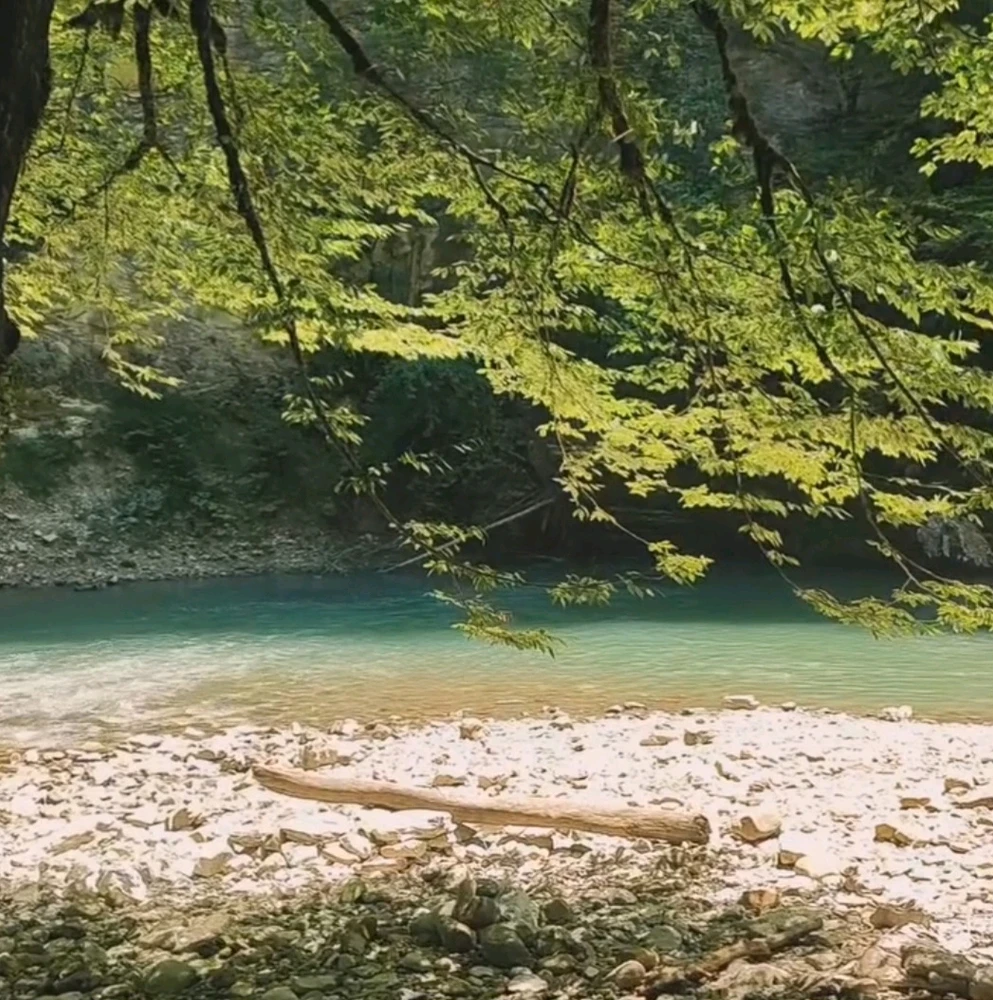 Image uploaded by Marissa