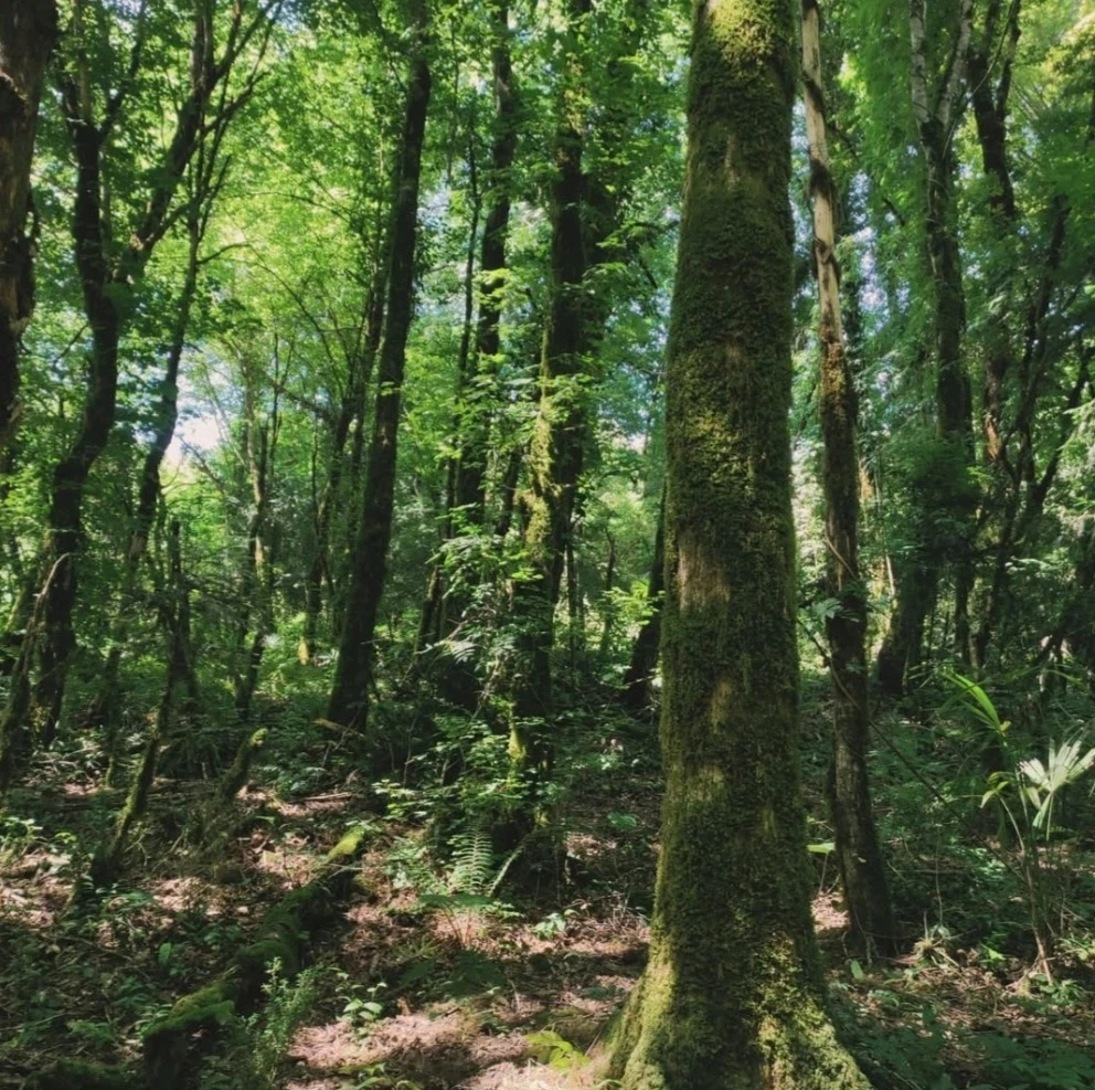 Image uploaded by Marissa