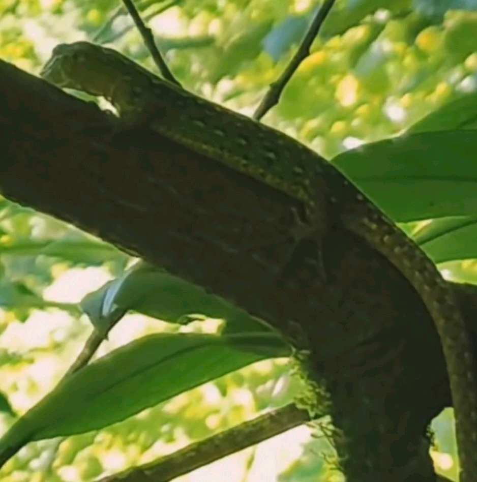 Image uploaded by Marissa